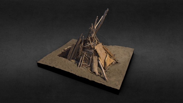 Driftwood beach hut 3D Model