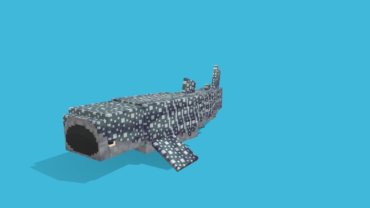 Whale Shark 3D Model