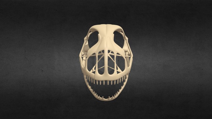 Anurognathus