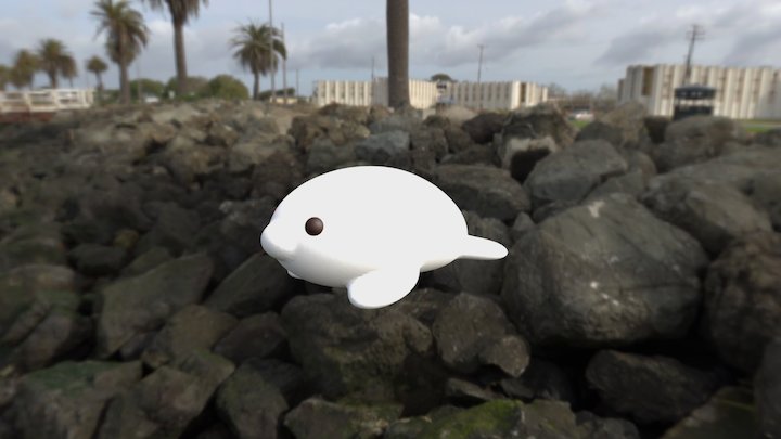 Baby Harp Seal 3D Model