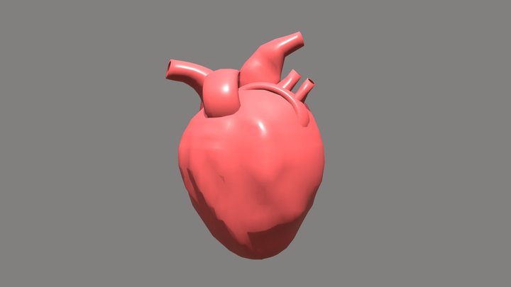 Simple Human Heart 3D Model
