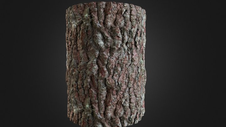 Bark - Texture from 3d scan 3D Model