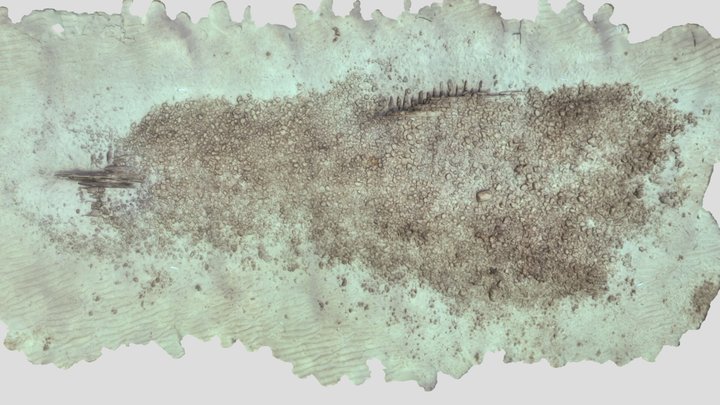 North America Shipwreck 3D Model