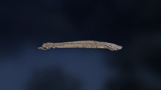 Leedsichthys Bone 10002 3D Model