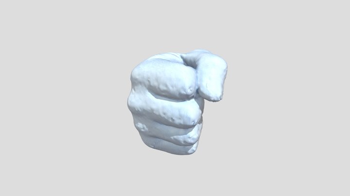 Gypsum Fist 3D Model