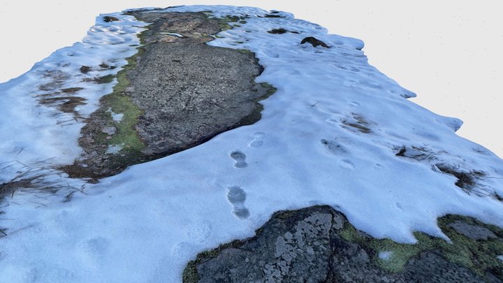 Bedrock peeking under snow, Scaniverse app 3D Model