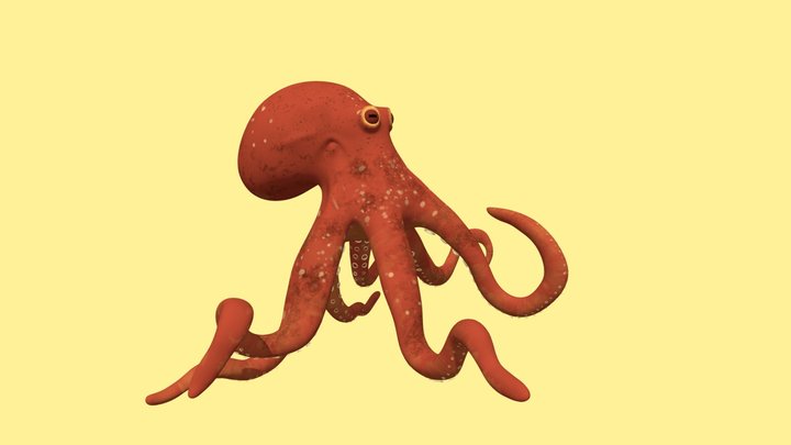 Octopus 3D Model