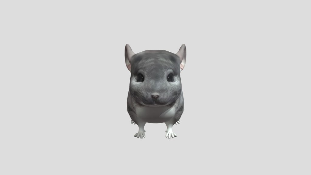 Bagel Chinchilla