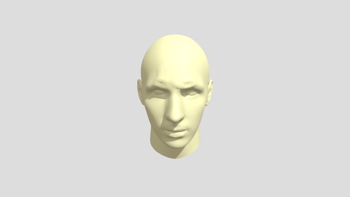 albert 3D Model