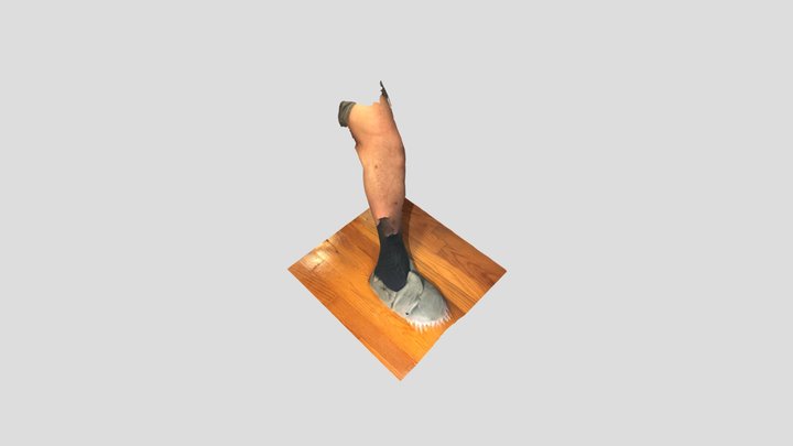 Dec 15, 11:26 PM-poly 3D Model