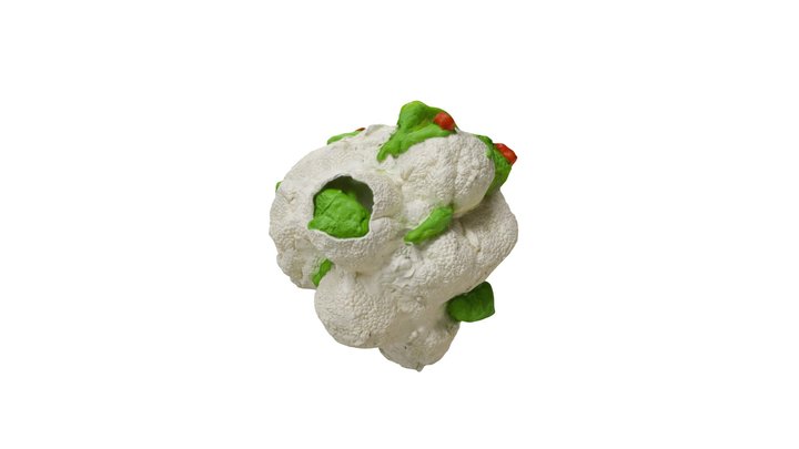 Brainfruit 3D Model