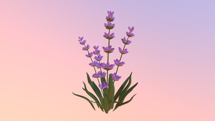 Assignment4_Flowers 3D Model