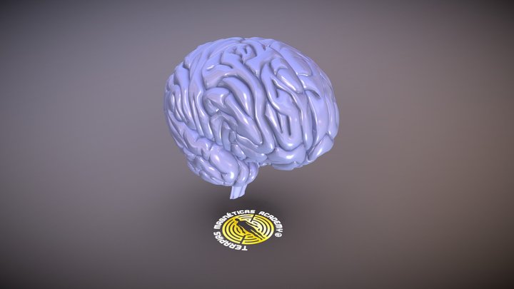 Cerebro_ Enseñansas Magnéticas 3D Model