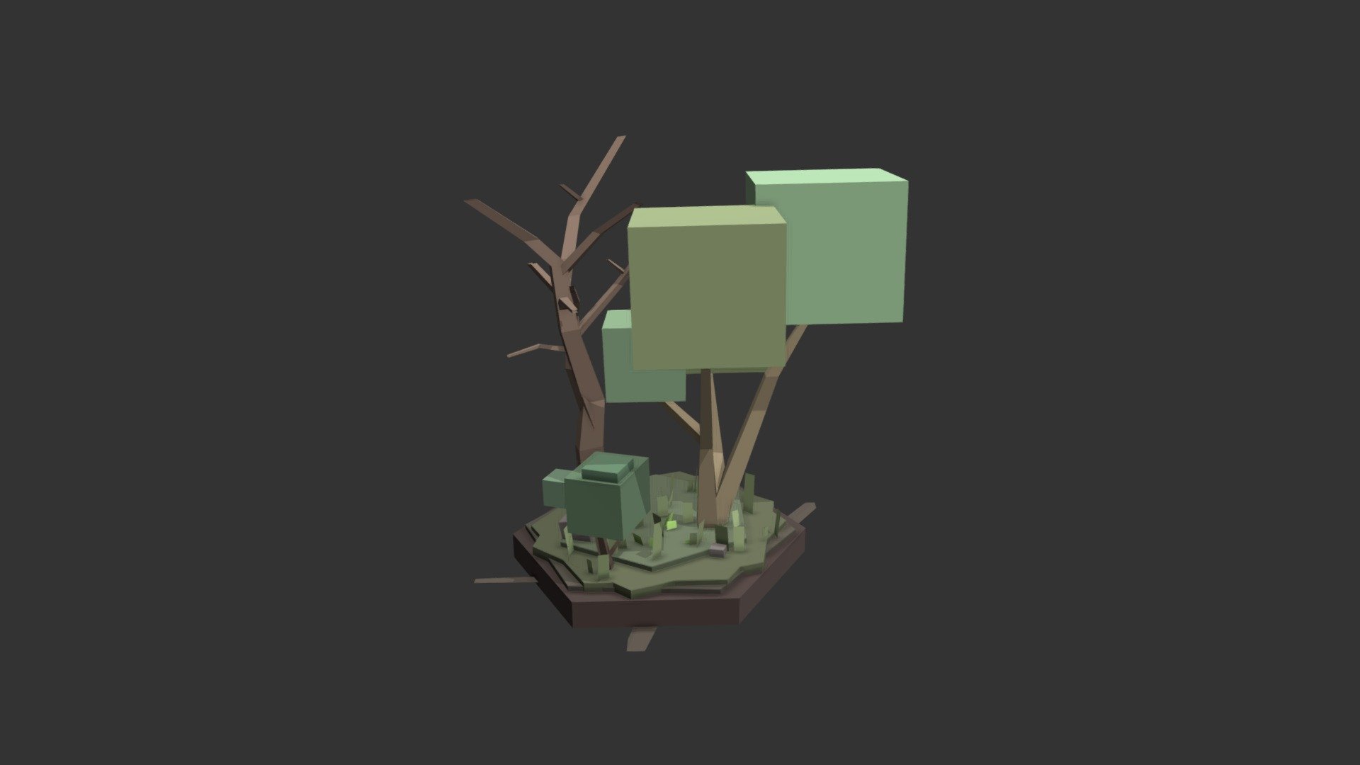 Little Forest