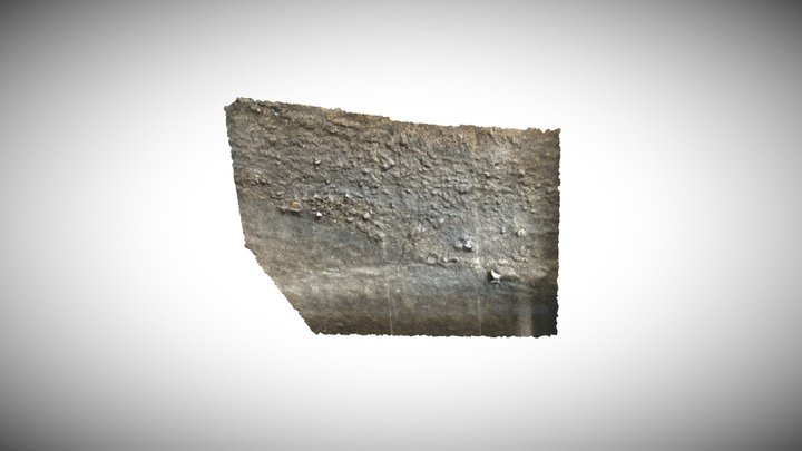 shell heap (4,500 years ago) / 貝塚（縄文時代中期） 3D Model