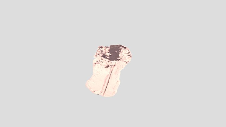 Llyn Eiddew 3D Model