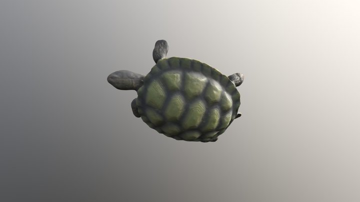 Tue_Jan_8_06_07_15_2019_GMT_obj 3D Model