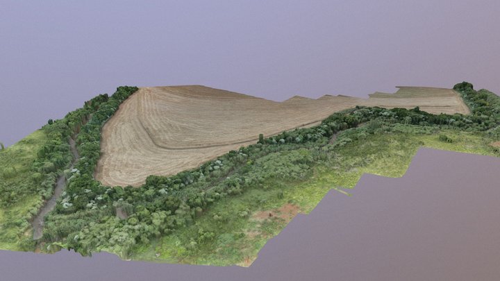 Área de Preservação Permanente, Jaú, SP, Brasil 3D Model