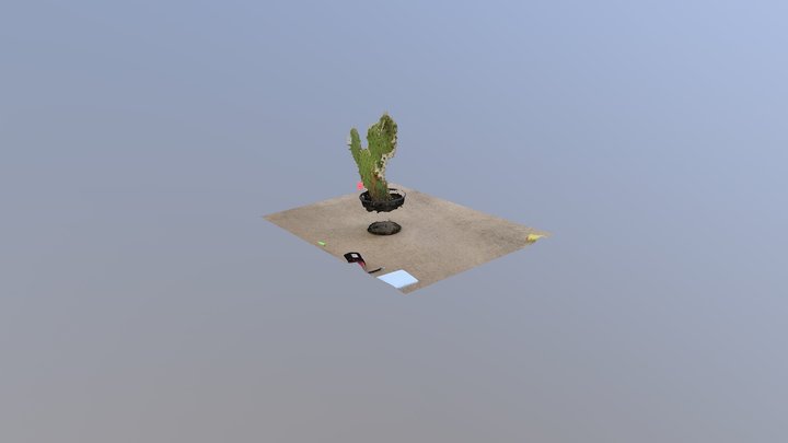 Prickly pear cactus before planting 3D Model