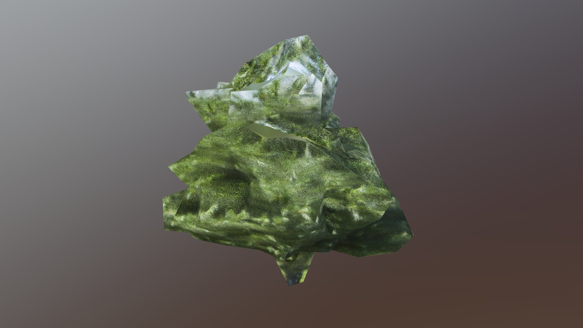 190715_tree_ft_greene_01 (2)