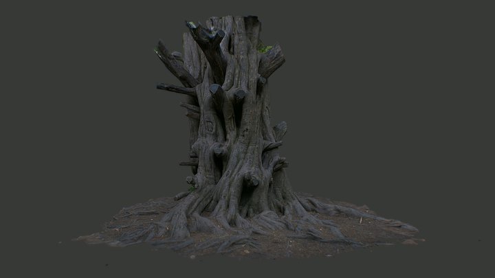 Tehidy tree photoscan 3D Model