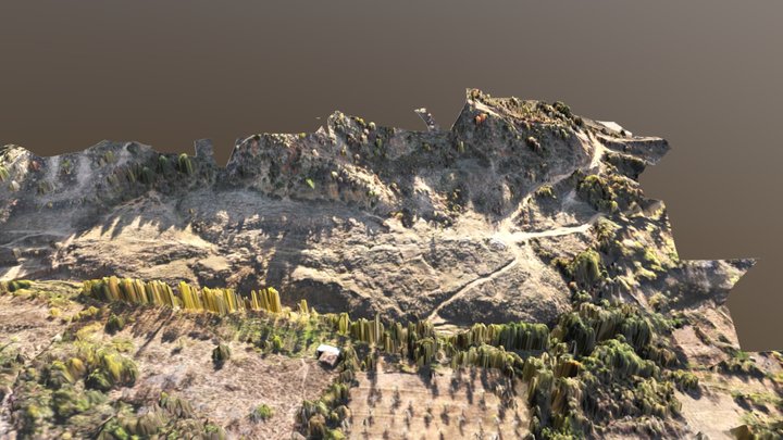 Large landslide 3D Model
