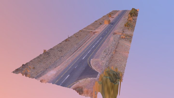 Road Survey Test 3D Model