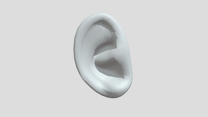 Practica de Oreja 3D Model