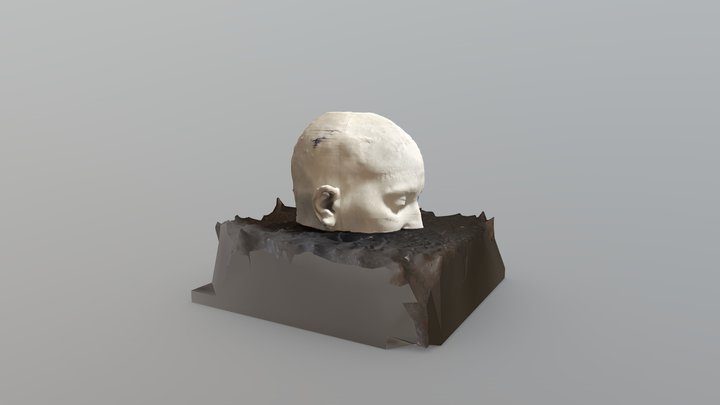 Scan 2022-12-12T16:44:05.683Z 3D Model