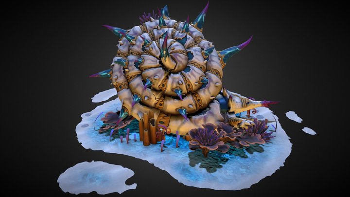 Nautilus-shell 3D models - Sketchfab