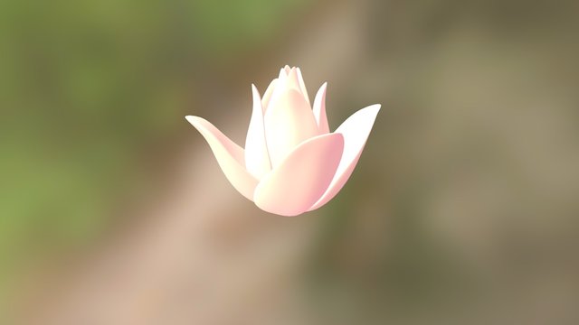Tulip 3D Model