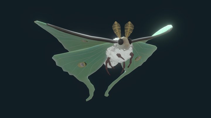 Lunar Moth Rig 3D Model