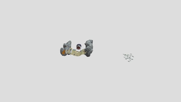 shark 3D Model