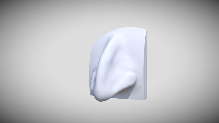 Nose Sculpt #2 3D Model