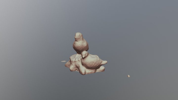 Birds 3D Model