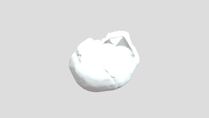Homo Habilis 3D Model
