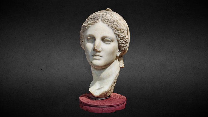 Woman's Head Hellenistic period 3D Model