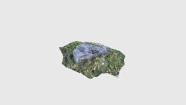 Erzmahlstein 1, Todtnauberg Schwarzwald 3D Model