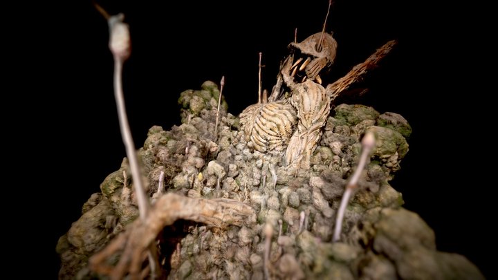 Ghibli's Nausicaä - Overgrown Giant Warrior Scan 3D Model