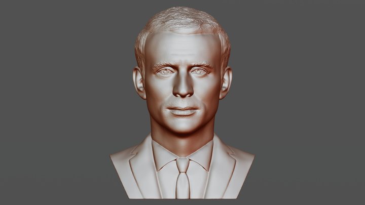 Emmanuel Macron bust for 3D printing 3D Model