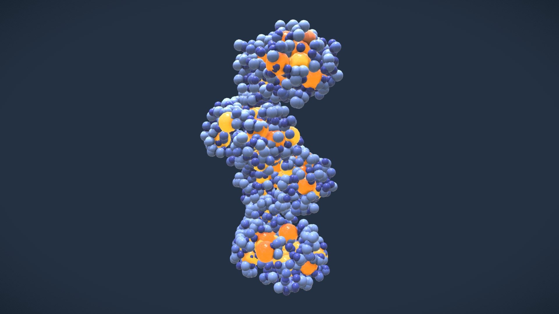 Phi29 DNA polymerase - Download Free 3D model by Advanced Visualization ...