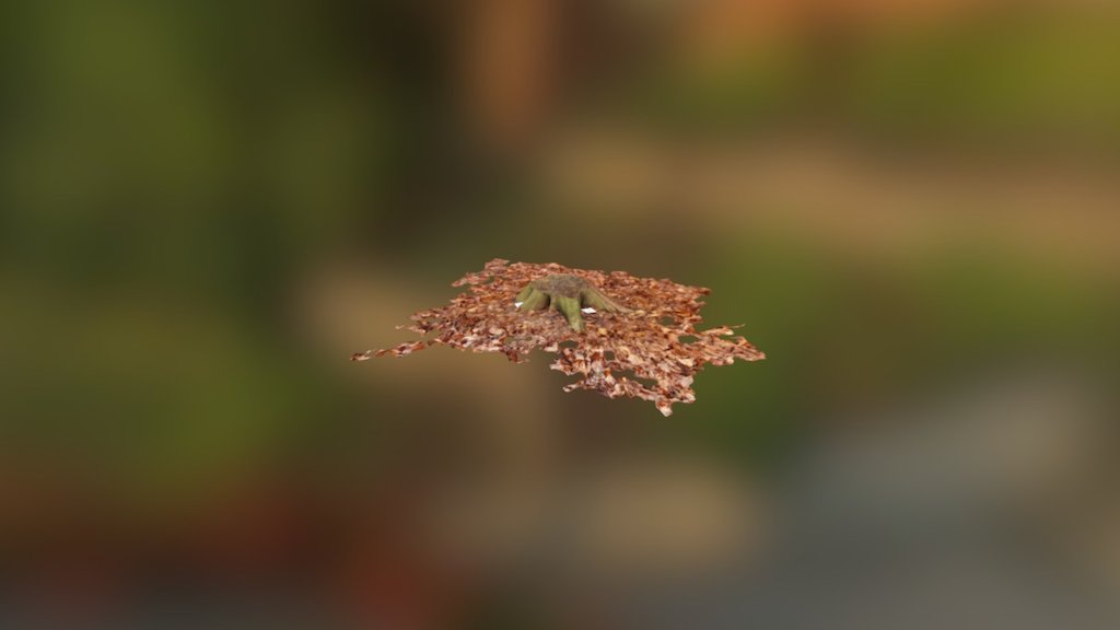 Tree Stump Rick 1