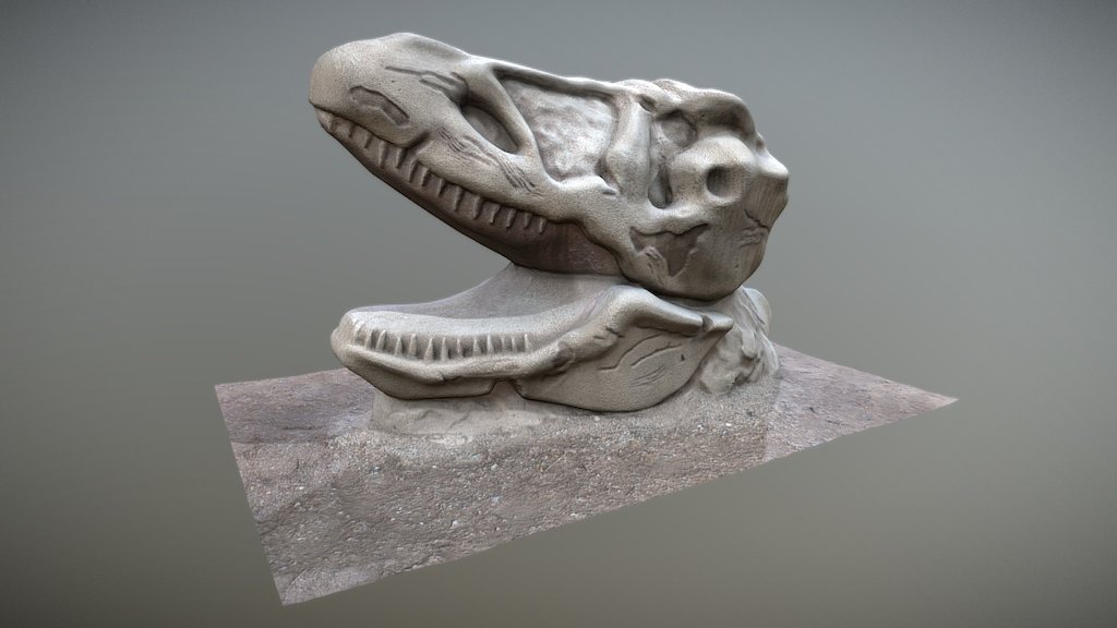 Dino head toy - park Anthropos