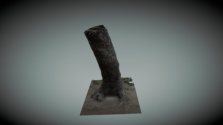 TreeNo4 3D Model
