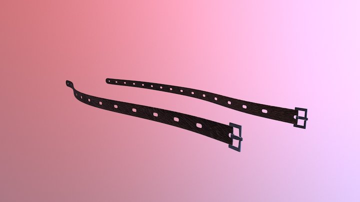 Belt Straps 3D Model