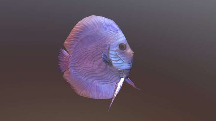 Discus fish 3D Model