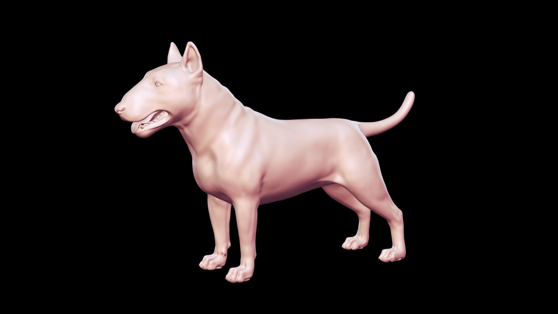 Bull Terrier Base Mesh 3D model - Buy Royalty Free 3D model by Peternak ...