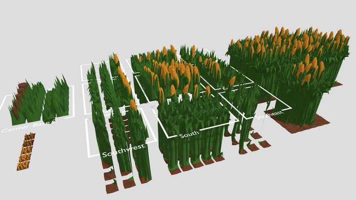 Corn Field 3D Model