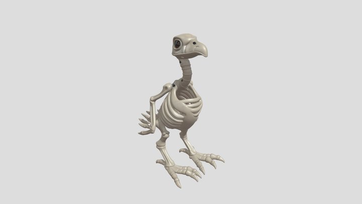 stefivertebrado_aves 3D Model