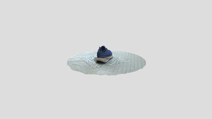 Shoe 3D Model